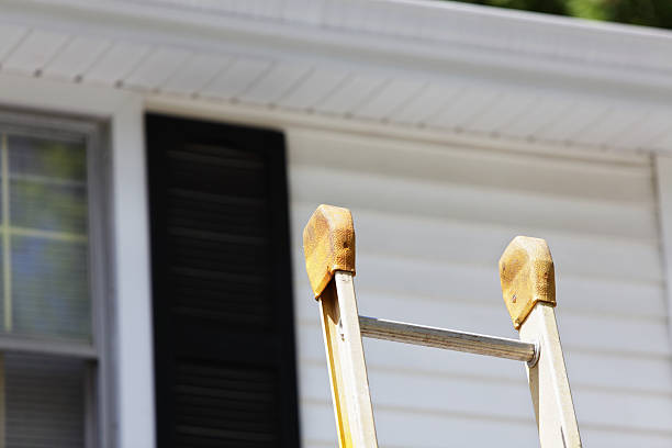 Best Insulated Siding Installation  in Waxahachie, TX